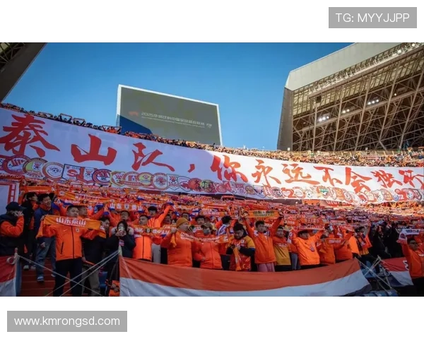 辽宁铁人携手十一企业共创未来 辽宁铁人携手十一企业共创未来